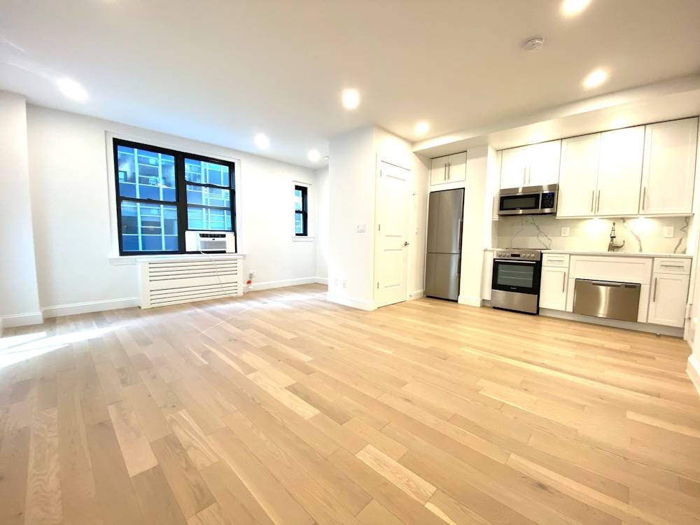 Spacious Studio Apartment in Turtle Bay, in unit W / D, No Fee