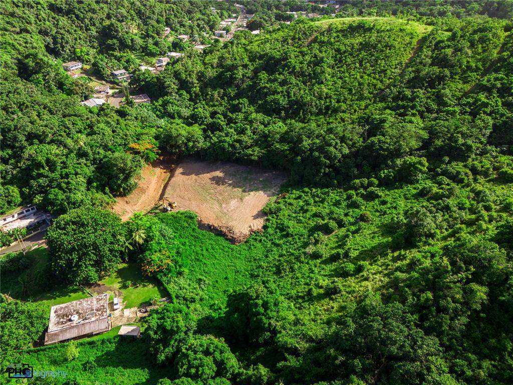Unlock a Landmark Opportunity in Fajardo: Prime 20 Acre Development with Endless Potential