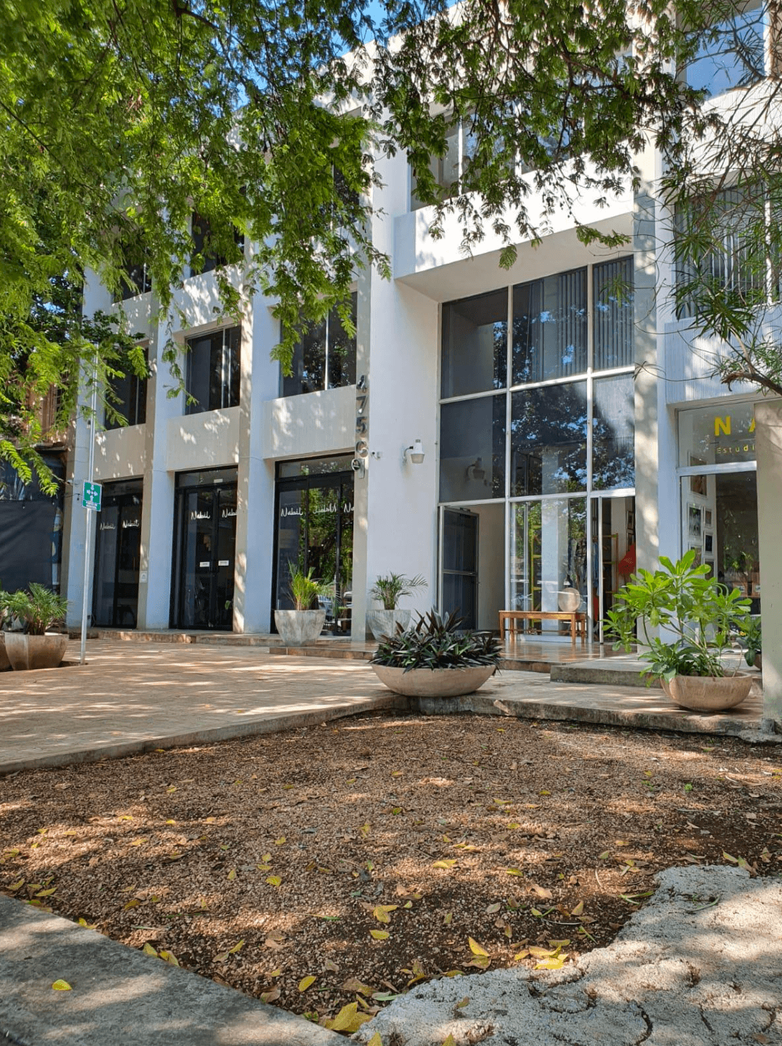 Building in Most famous avenue in Merida Paseo Montejo