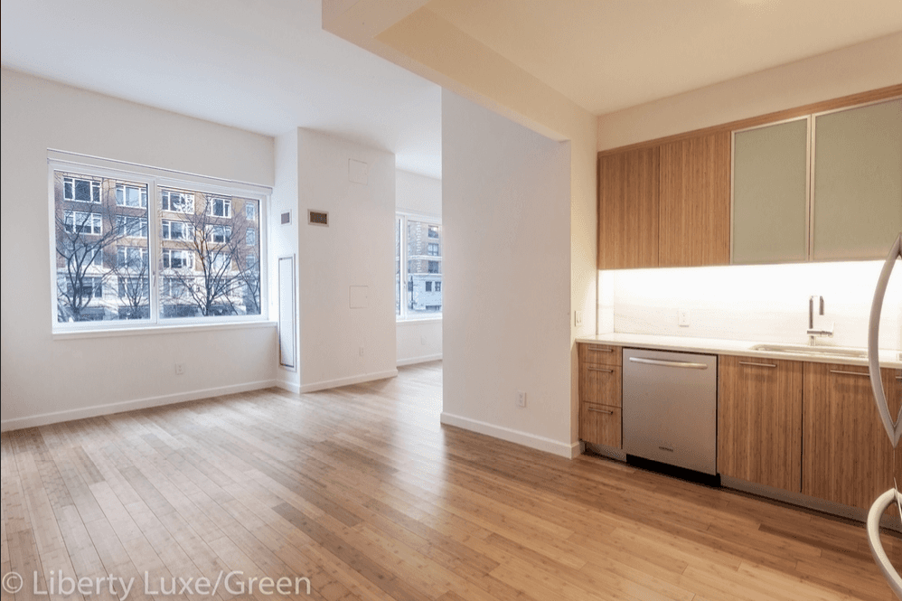 Luxury Studio in Battery Park! No Fee!