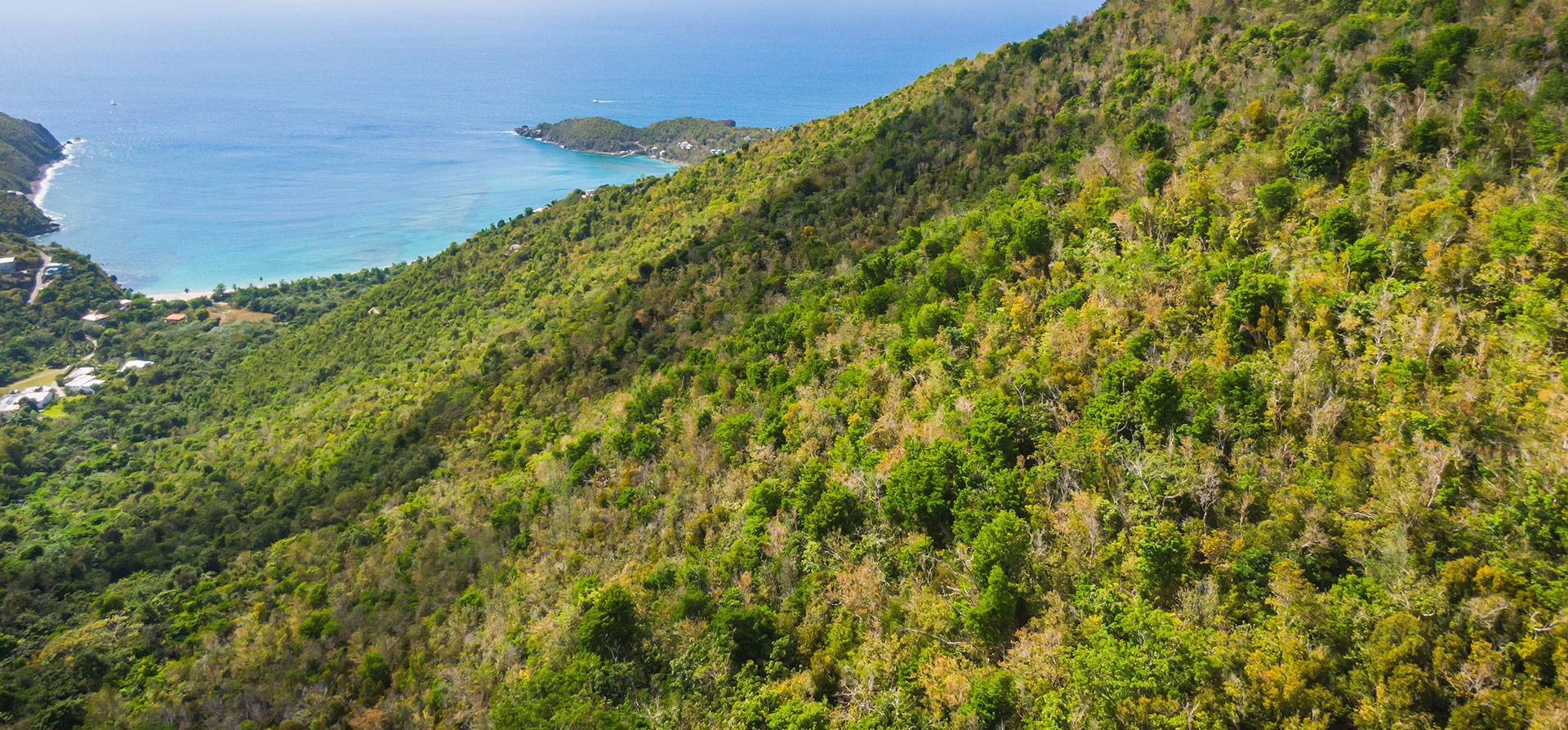 Todman's Peak Land