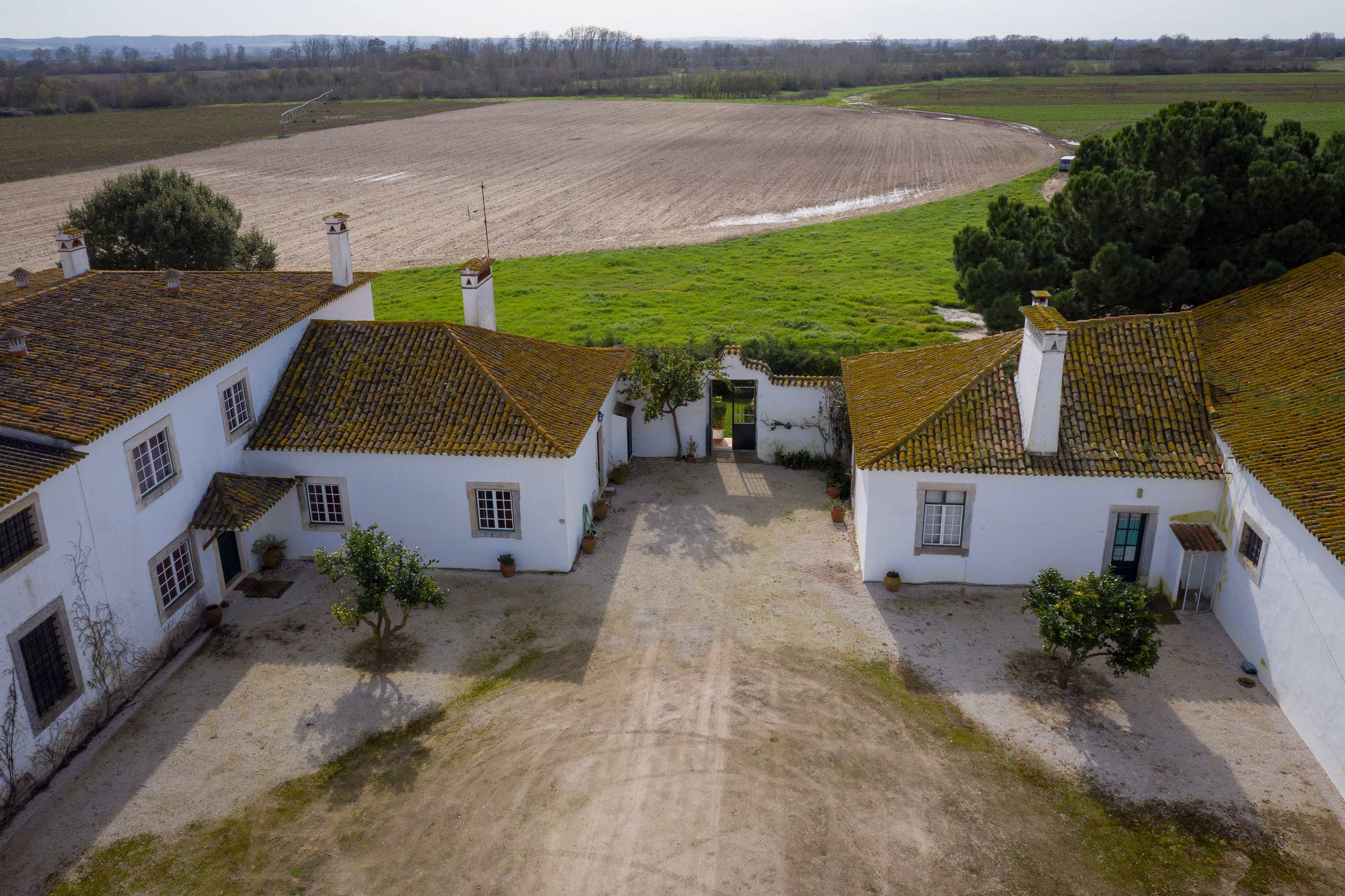 Stunning farm with natural beauty | Near picturesque Golegã |