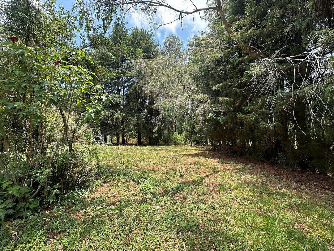 Land for Sale in San Simon,  Valle de Bravo