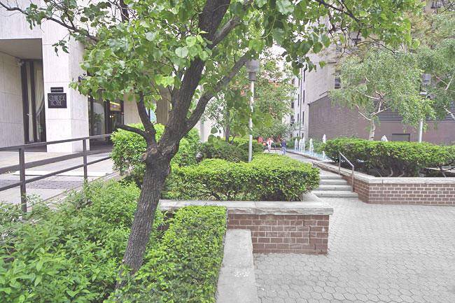 Corner 4 Bedroom with A Central Park View!
