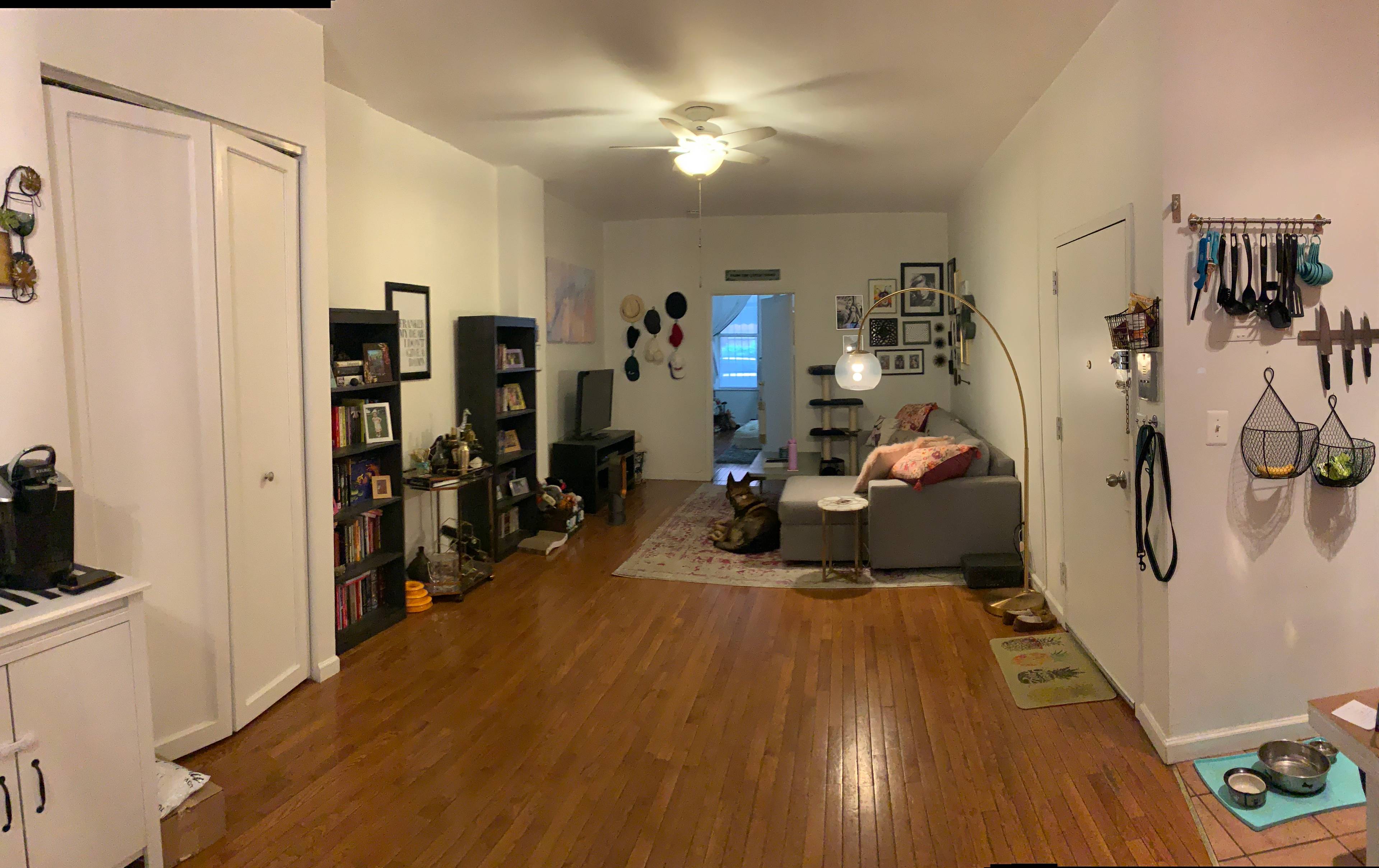 Spacious 1 Bed, 1 bath & Backyard