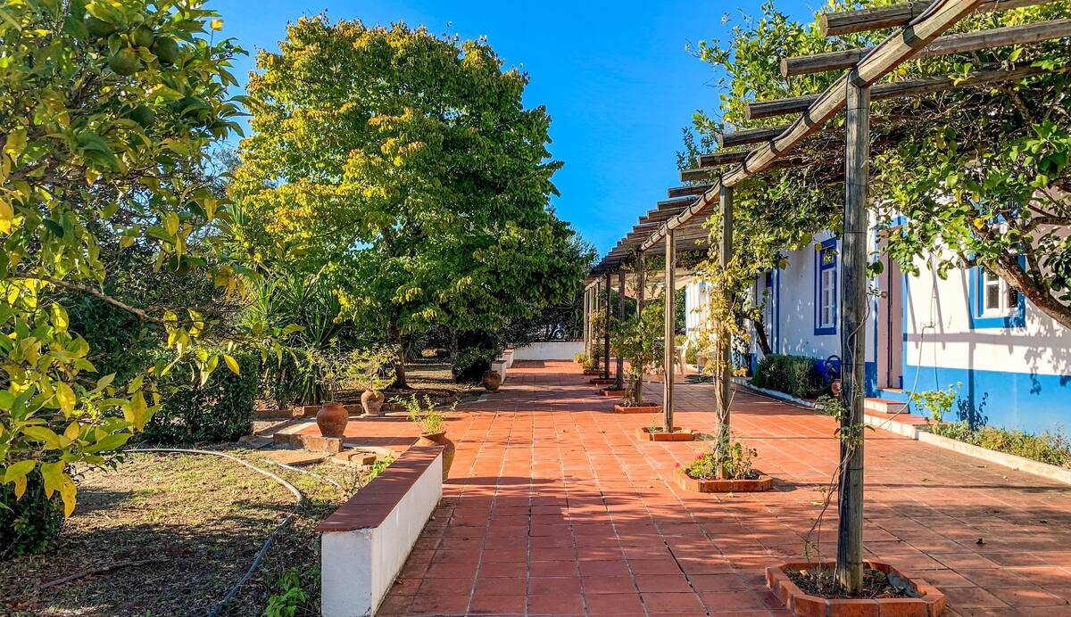 Traditional Country house in Alvito, Alentejo