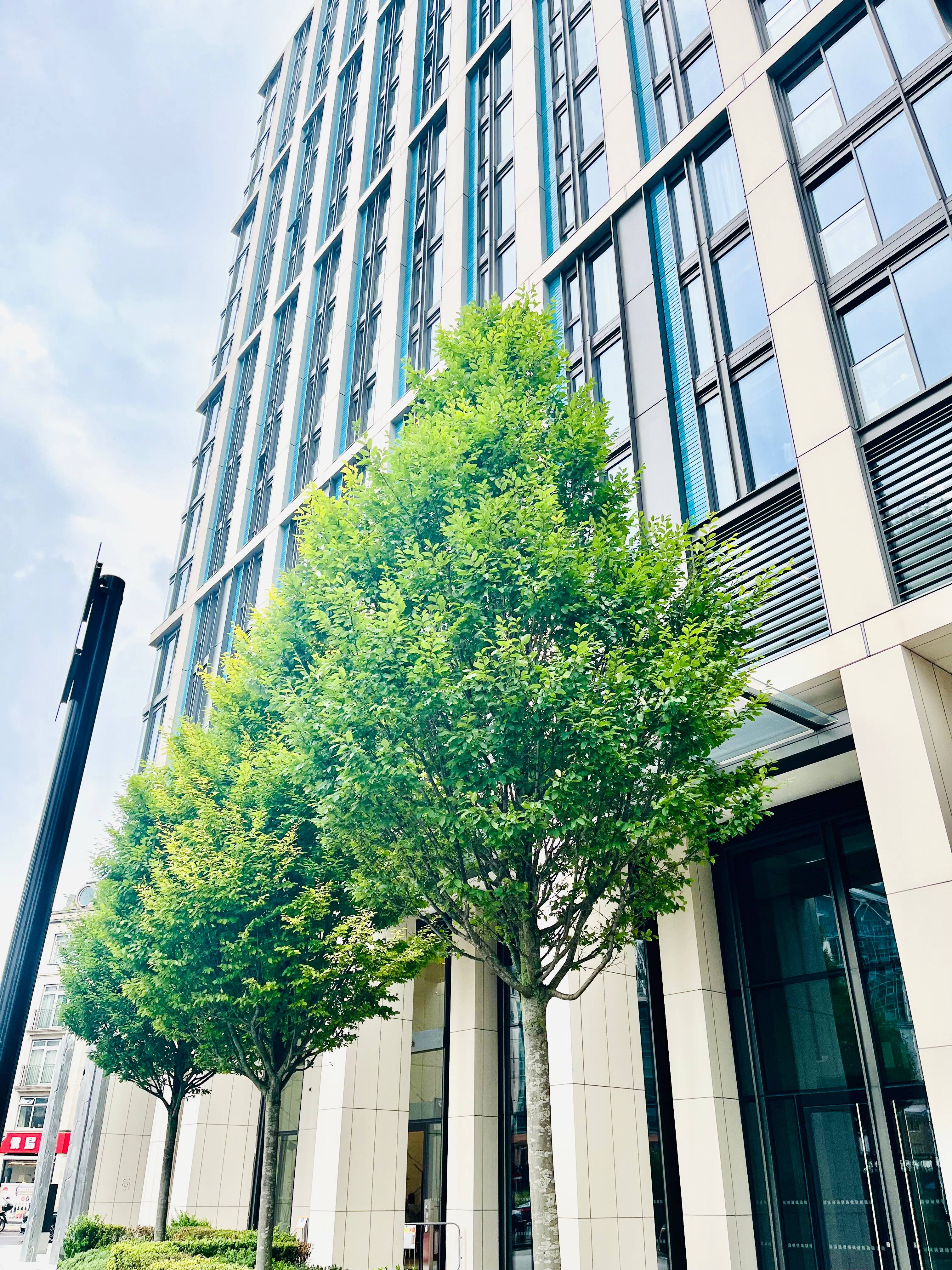 Nine Elms development. Interior designed by Versace Home.