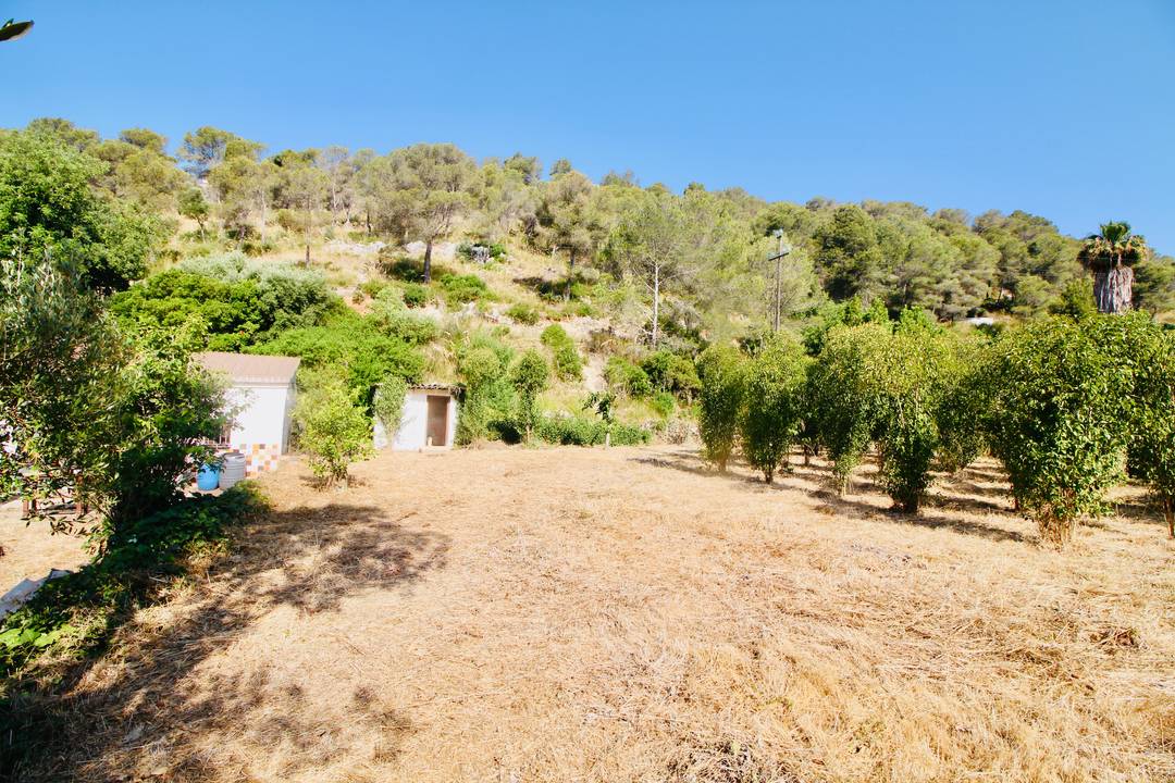 Land in Can Llosas- Sant Pere de Ribes