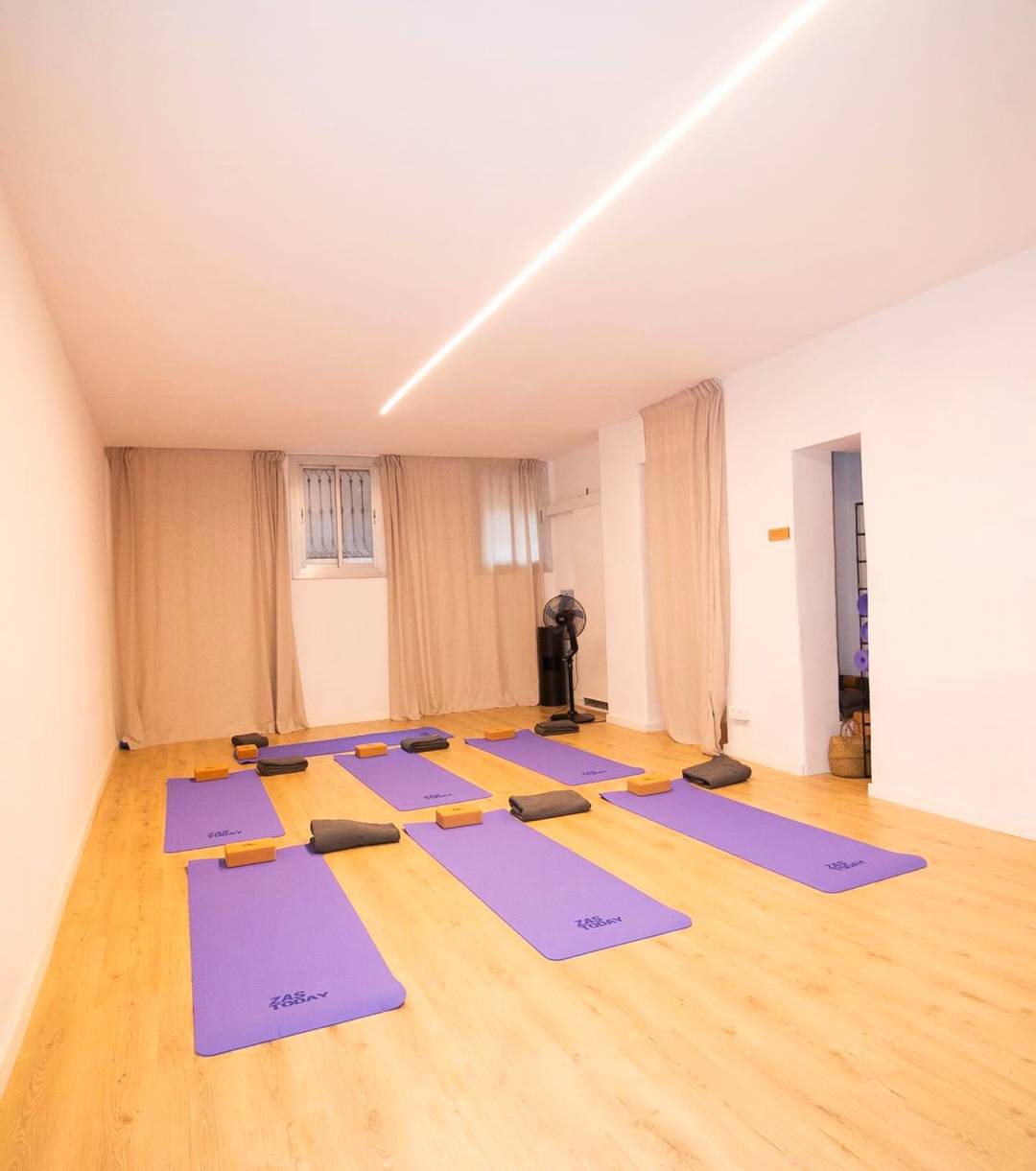 Magnificent recently renovated commercial site next to arc de triomf