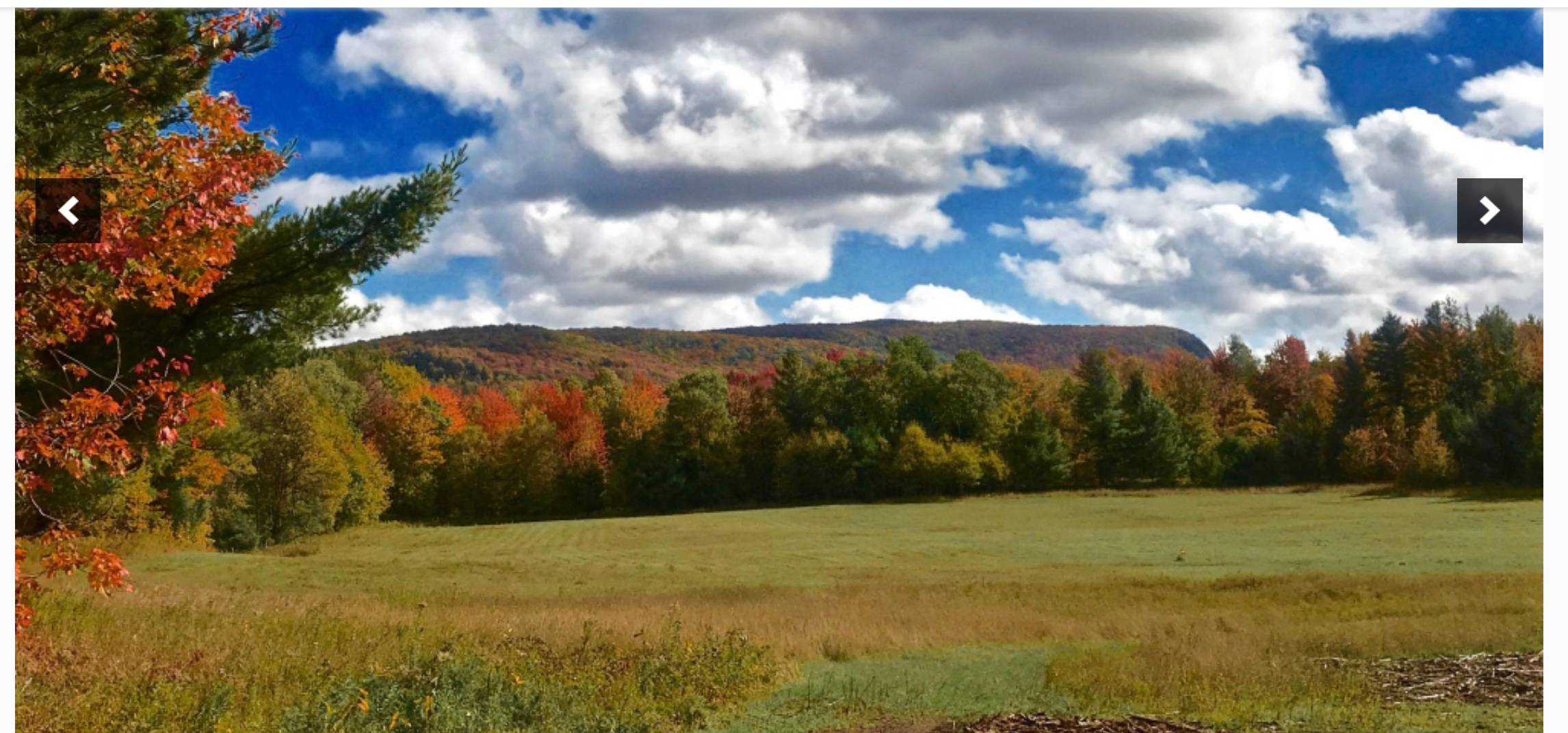 Adirondack Mountain Land 5 acres