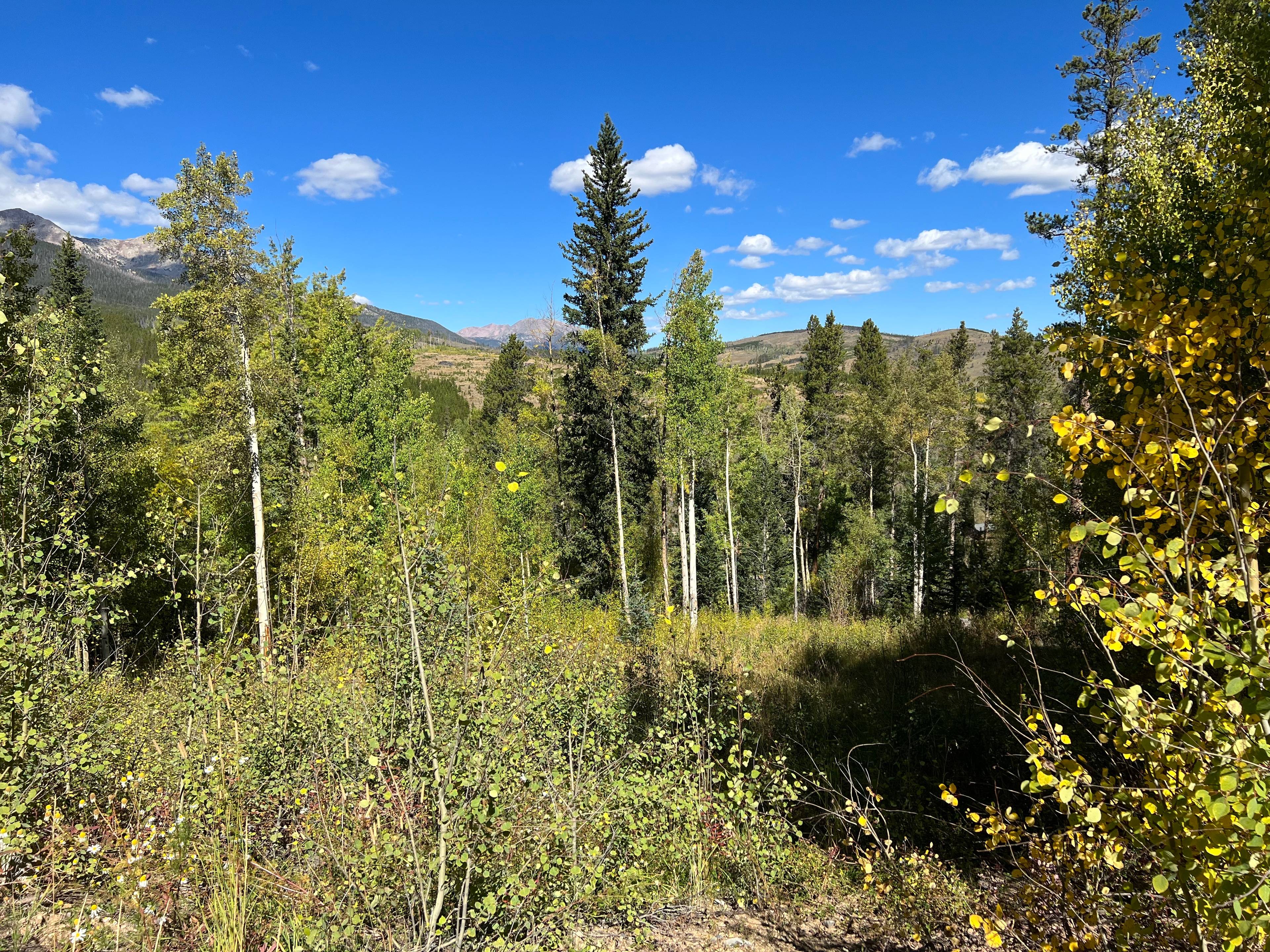 Invest and Build in Breckenridge, Colorado