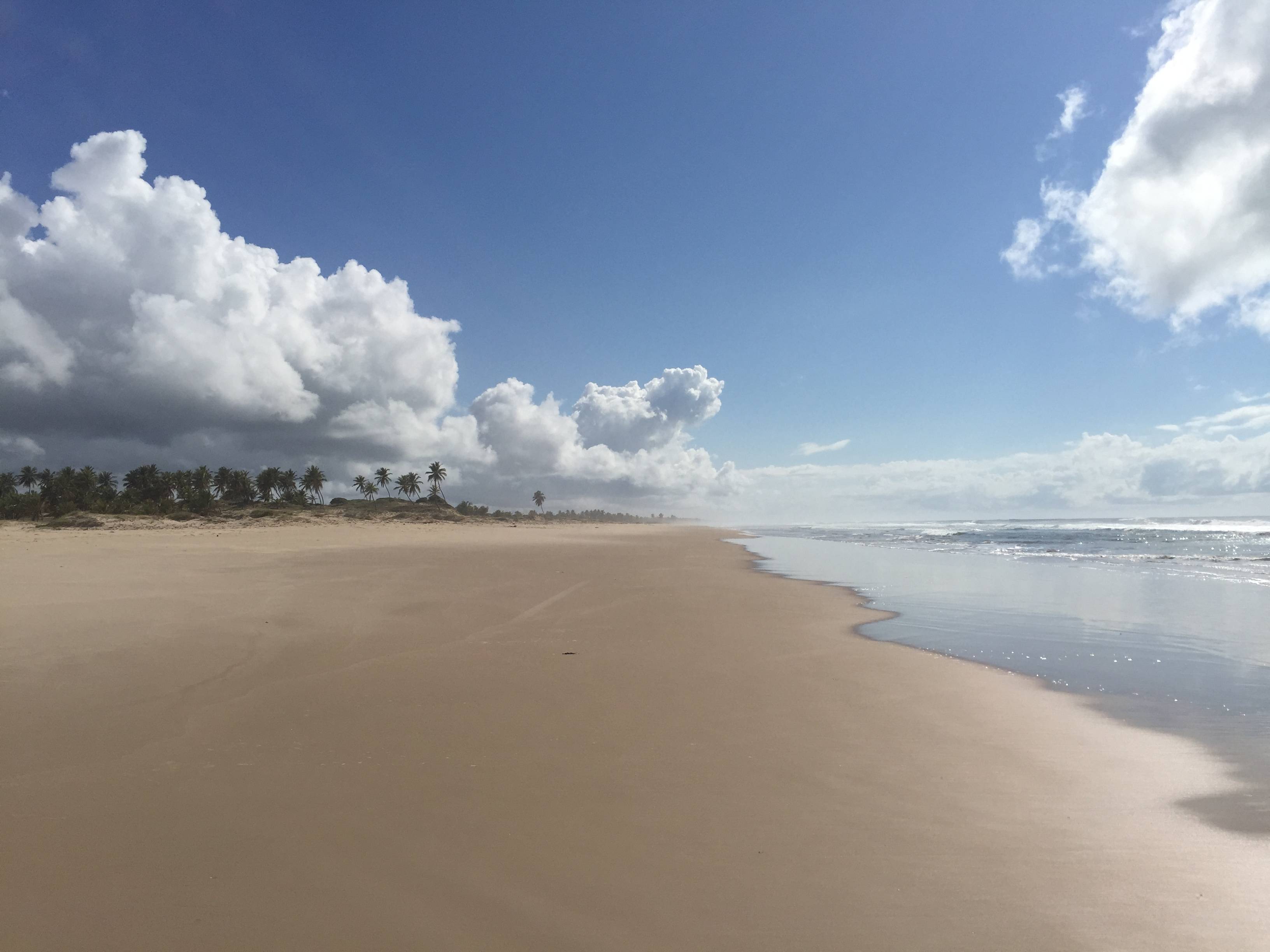 PRIME BEACHFRONT DEVELOPMENT OPPORTUNITY IN BAHIA 100 HECTARES 1KM BEACH