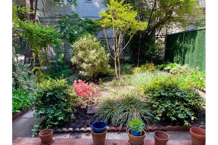 Huge North Crown Heights Garden Duplex on Premier Block