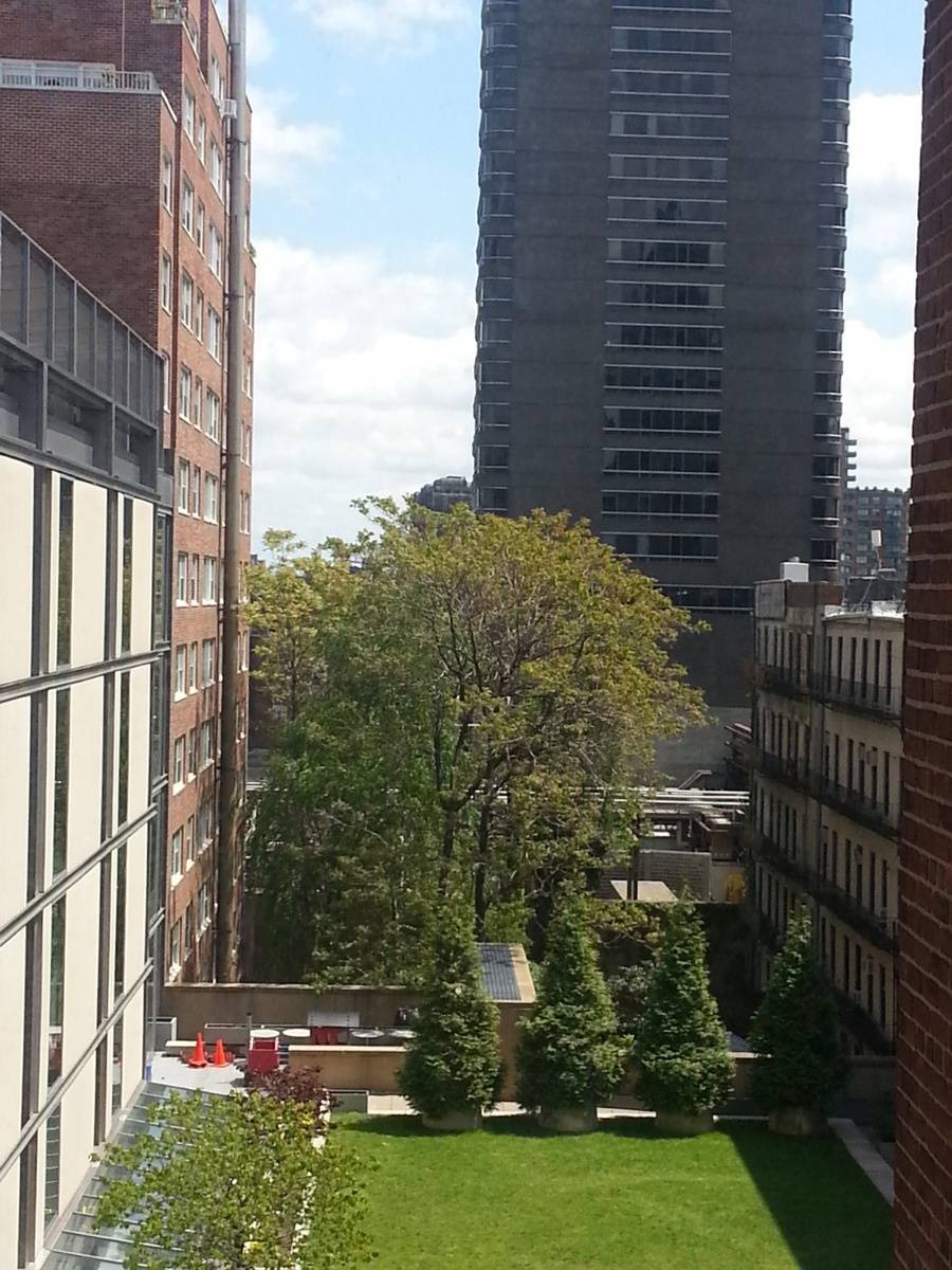 Sunny Spacious Alcove Studio Renovated & Quiet w Roof Deck and Garage Near 2nd Ave Subway, Cornell, NY Presbyterian and Sloane Kettering Hospitals Lenox Hill Upper East Side