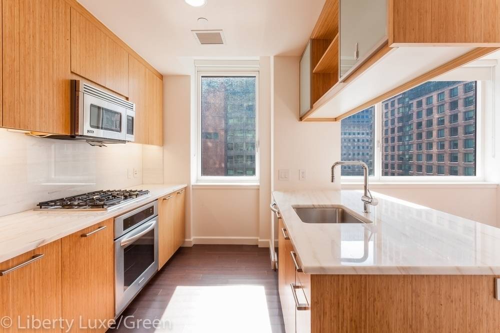 Battery Park City, Luxury Apartment, 1 bed/ 1 Bath, Open Design, Sun Filled, W/D in unit