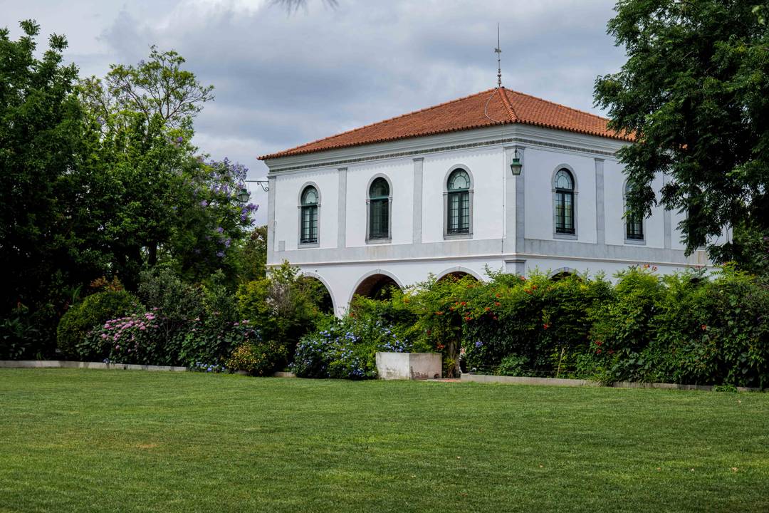 EXCLUSIVE HOMESTEAD IN THE HEART OF THE ALENTEJO - NEW PRICE