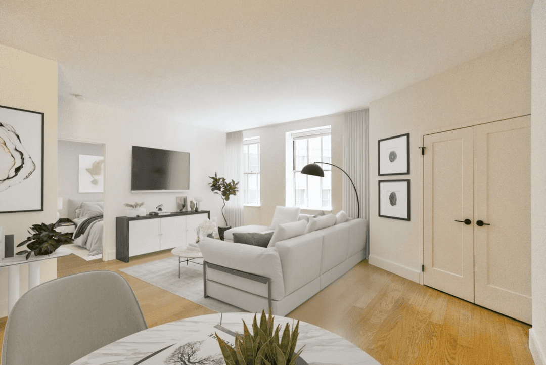 LARGE 1 BR/ 1 BA IN FINANCIAL DISTRICT