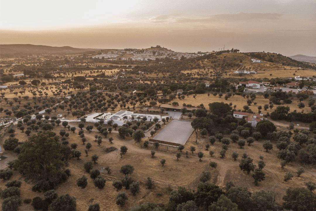 Equestrian Retreat  | 3 Suites | Pool | Stables | Paddocks | Castle Views | 1.15h To Lisbon