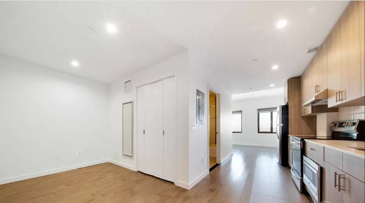 Flex 1 | Great Closet Space | Luxury Building | No Fee