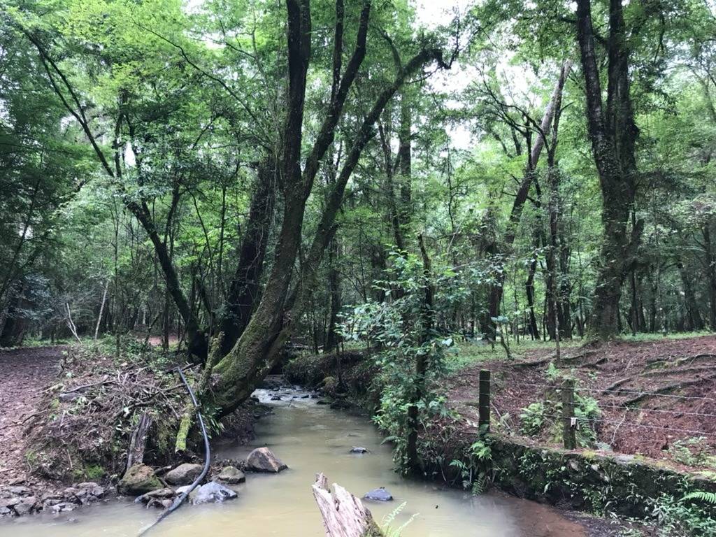 Lot for sale in closed gated community in Avandaro, Valle de Bravo.