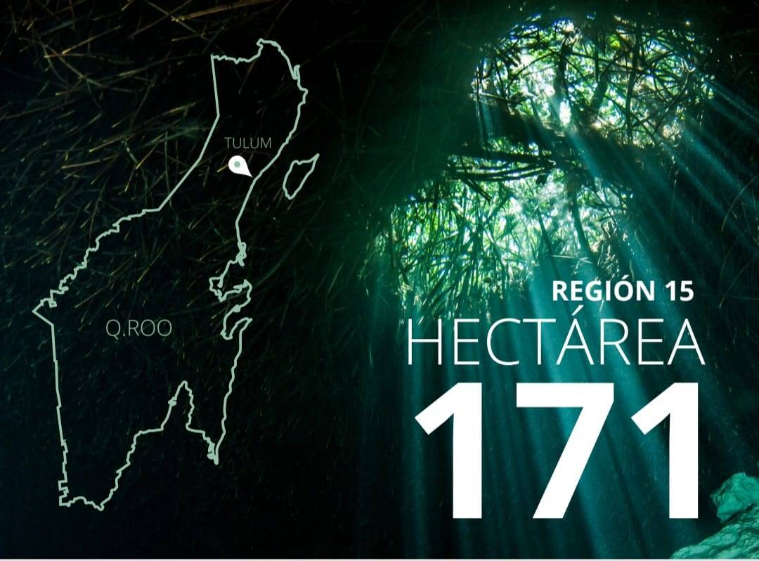 ONE HECTARE TO DEVELOP IN REGION 15 TULUM