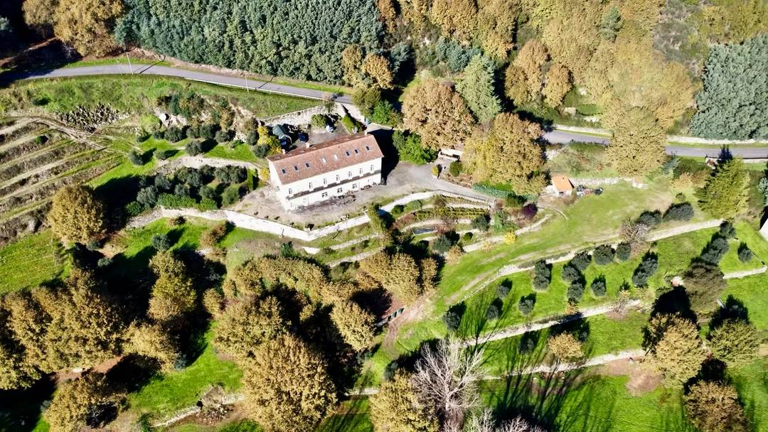 Historic Manor House & Vineyard in Portugal