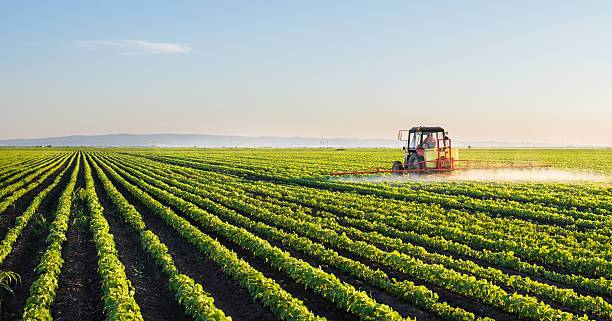 AGRICULTURAL LAND IN SANTIAGO DEL ESTERO - ARGENTINA