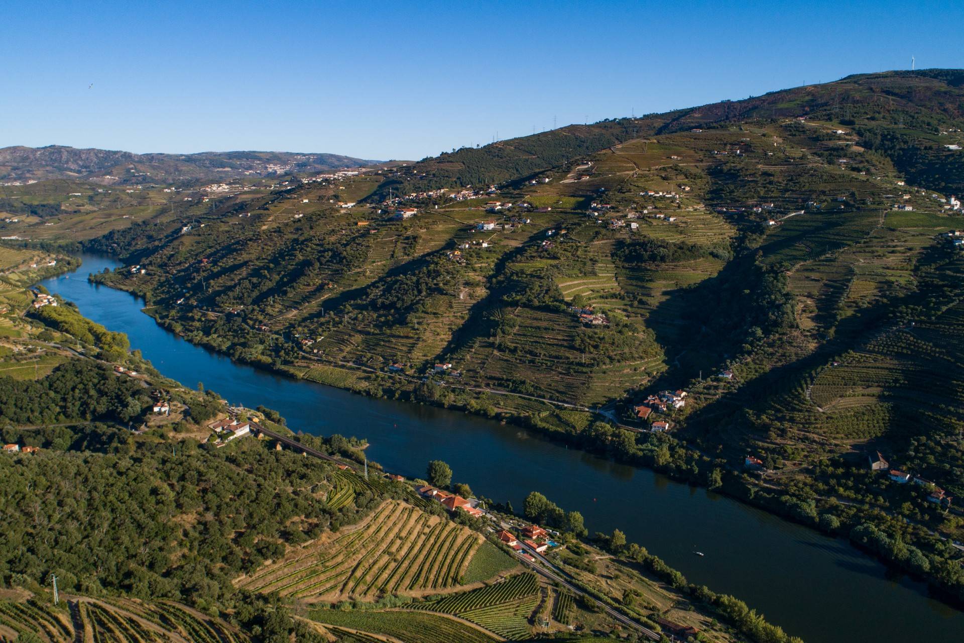 Invest in Elegance: Douro Estate Featuring Hotel Project Potential