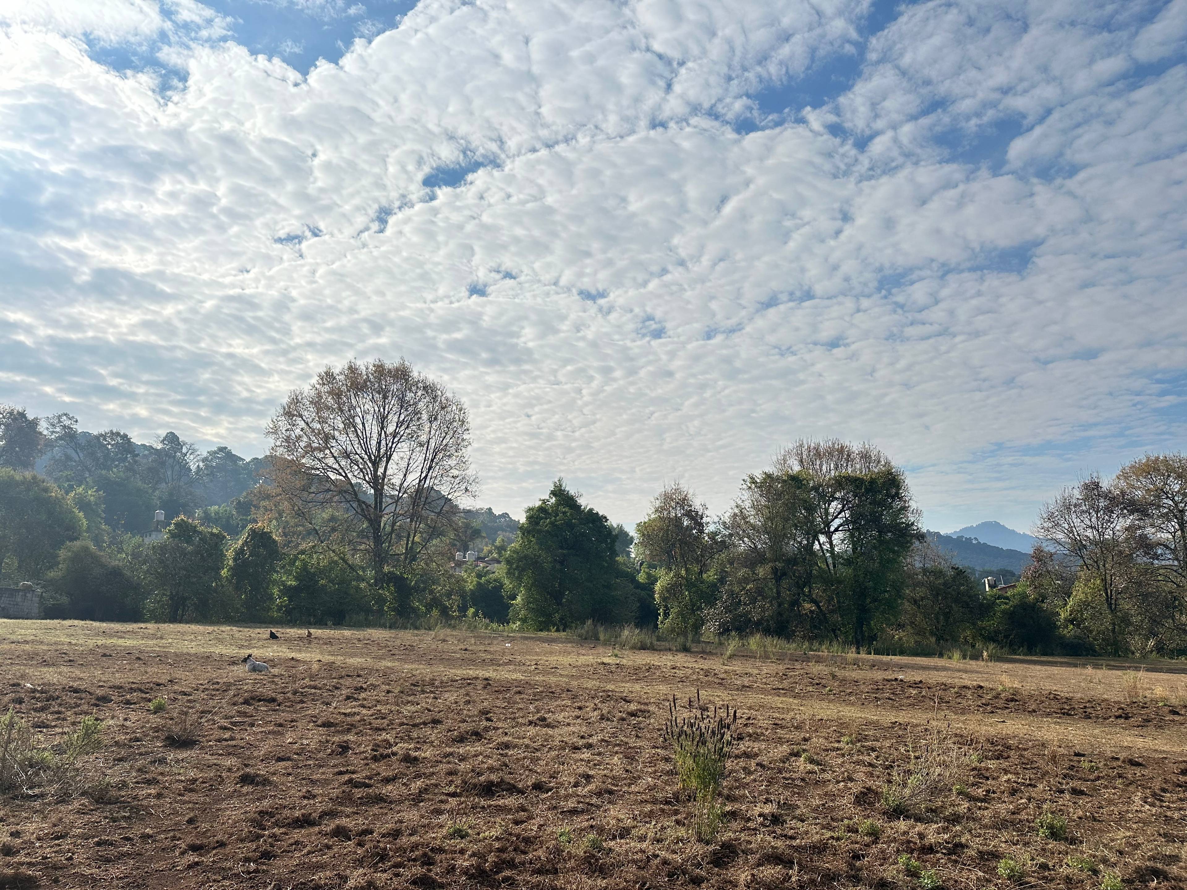 Terreno en venta