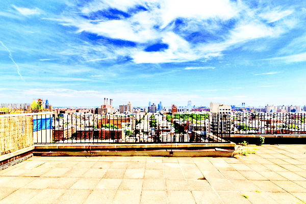 Beautiful 1 BR PH in Prime East Village ~ Huge Private Wrap Terrace ~ Fireplace ~ Pre-war Elevator Bldg!