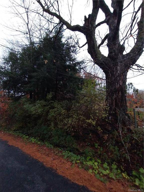 Here are 27 private, beautiful, buildable, wooded Acres to construct your dream home, with the East Branch Mongaup River on the back left corner of the property.