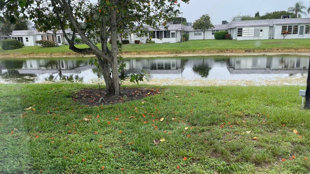 Beautifully renovated one story corner villa with windows on three sides, like a house, with no walls attached to a neighbor.