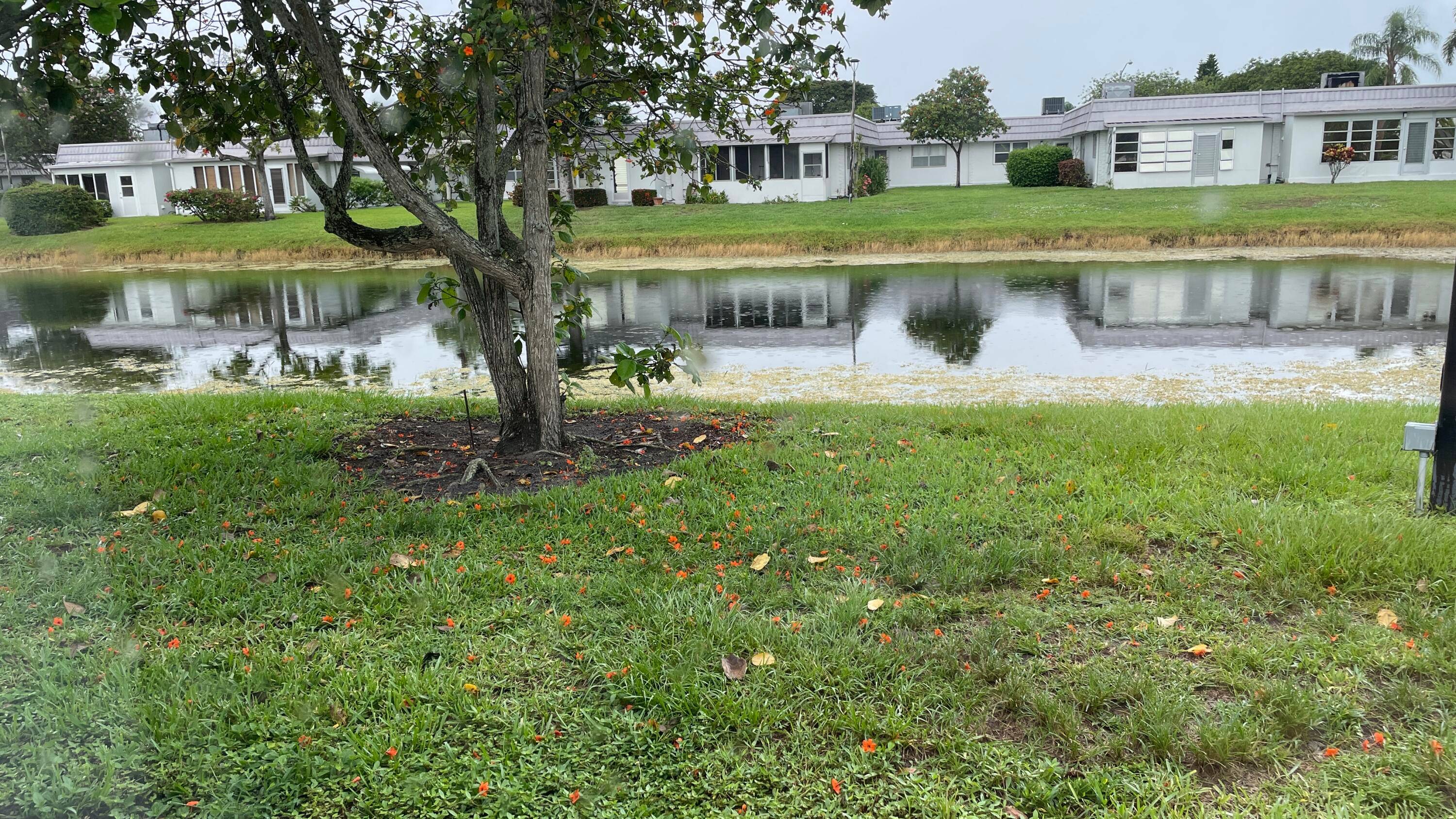 Beautifully renovated corner villa with windows on three sides, offering abundant natural light and serene canal views.