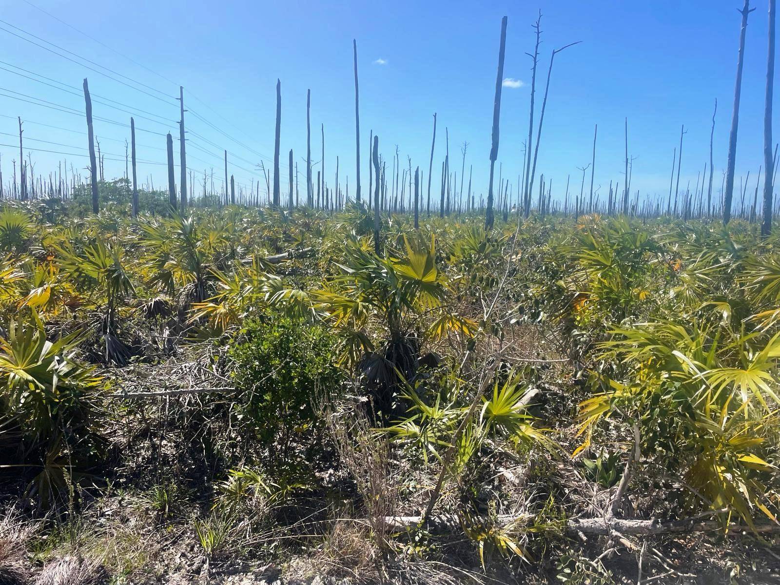 LUCAYA ESTATES PROPERTY Land Grand-Bahama-Freeport