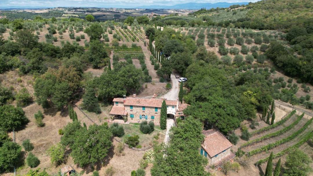 Farm with farmhouse for sale in Umbria, Città della Pieve, Perugia. Farmhouse in a panoramic position, 10 hectares of woodland, olive grove, vineyard