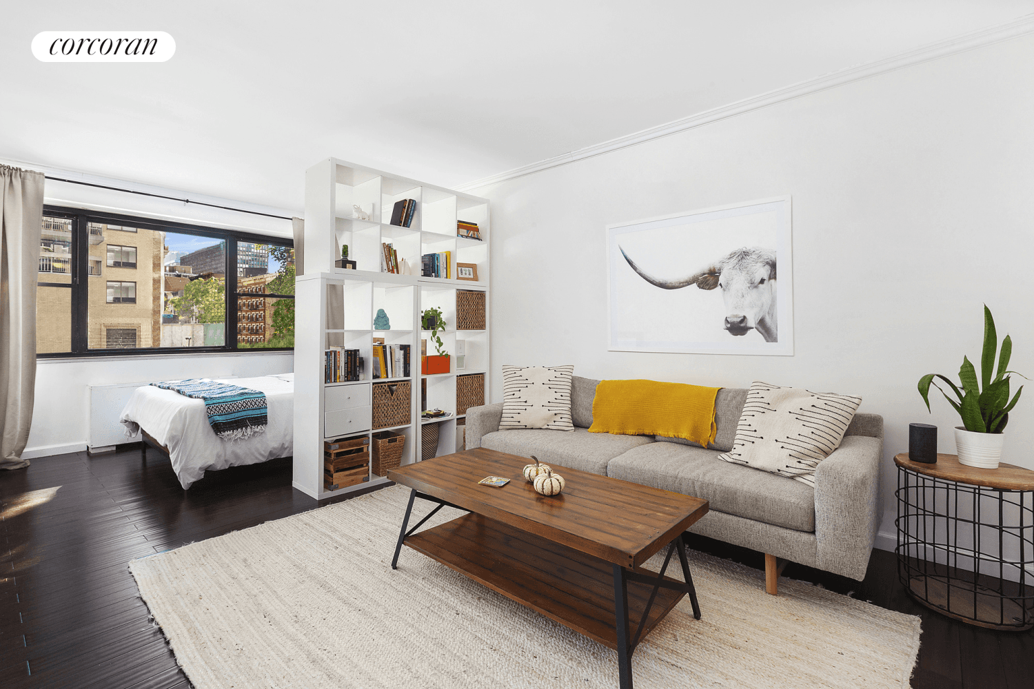 Sunny, recently renovated studio apartment with lovely tree top and skyline views.