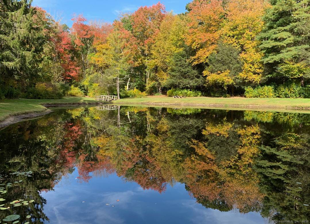 20 acres in rural Killingworth, offering privacy, natural beauty, and boundless potential.