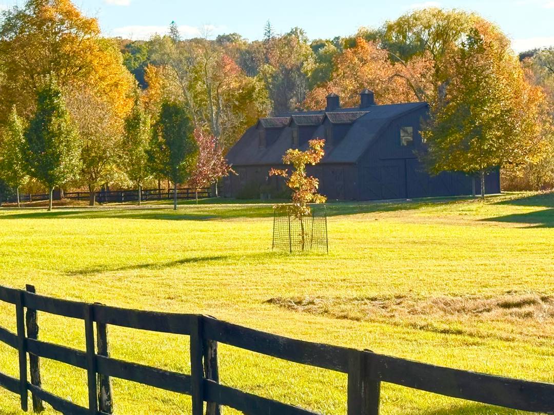 Fabulous Converted Barn Rental Available November 2025 to May 2026.