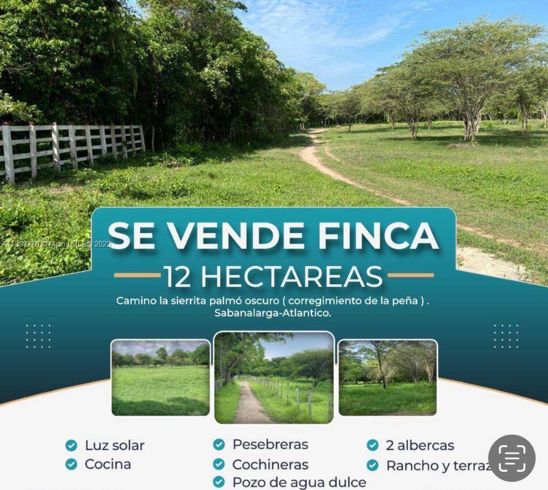 SELLER MOTIVATED INCOME FARM NURSERY LAND on the outskirts of Barranquilla Colombia, Sabana Larga, Atlántico with more than 29, 000 acres of land completely fenced.