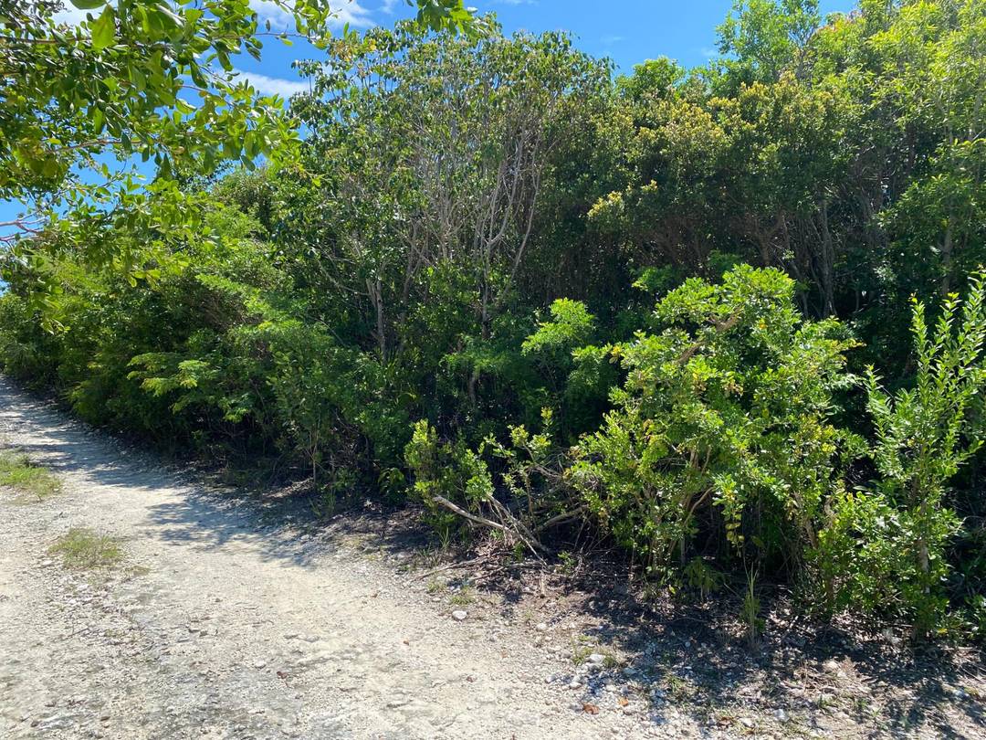 ELEUTHERA ISLAND SHORES Land Eleuthera