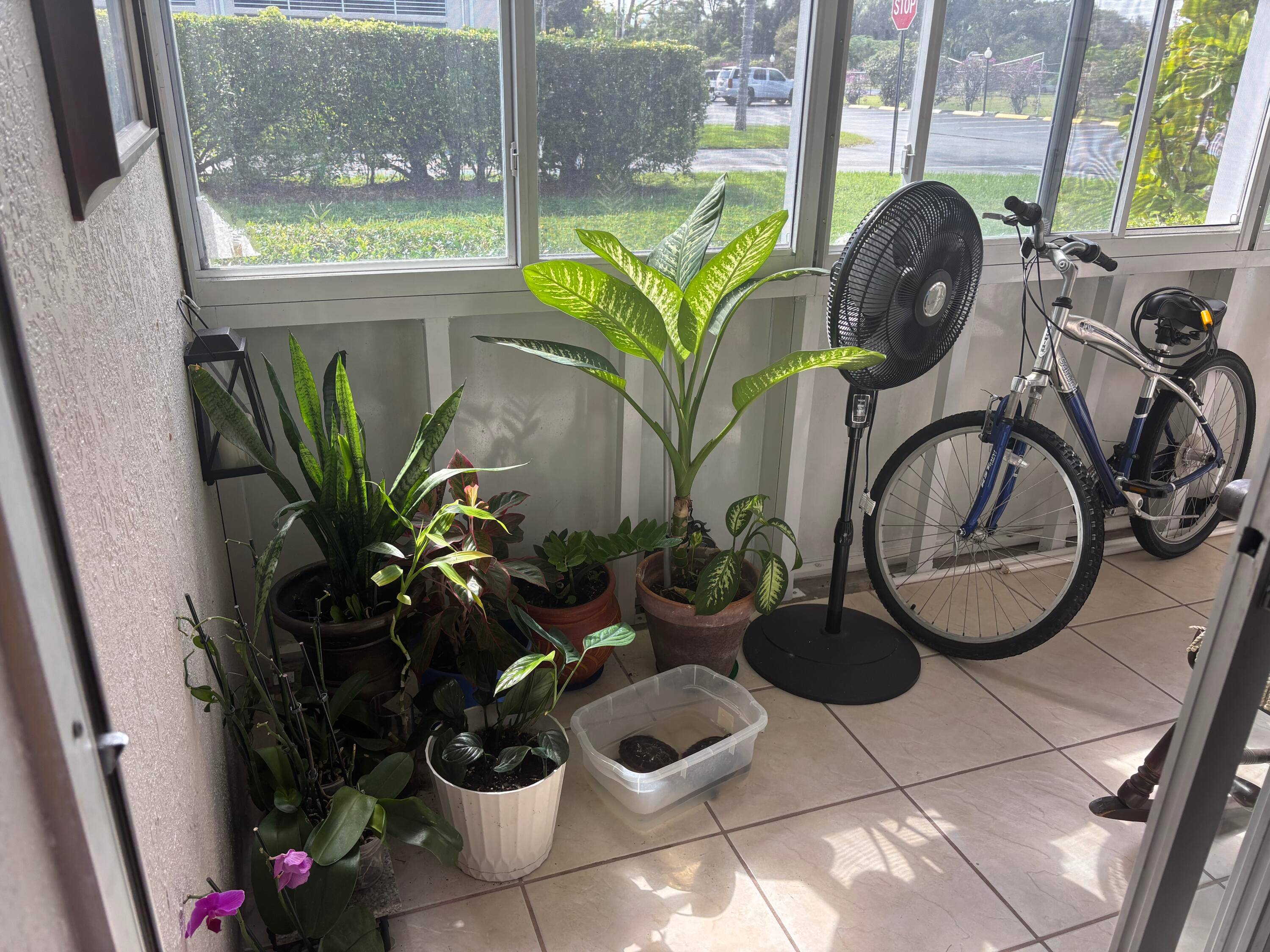 Beautiful Breezes 55 Community, easy walk located and very active community, the mortgages have to be 20 Down per condo Association, 700 Credit Score this property have all balcony impact ...