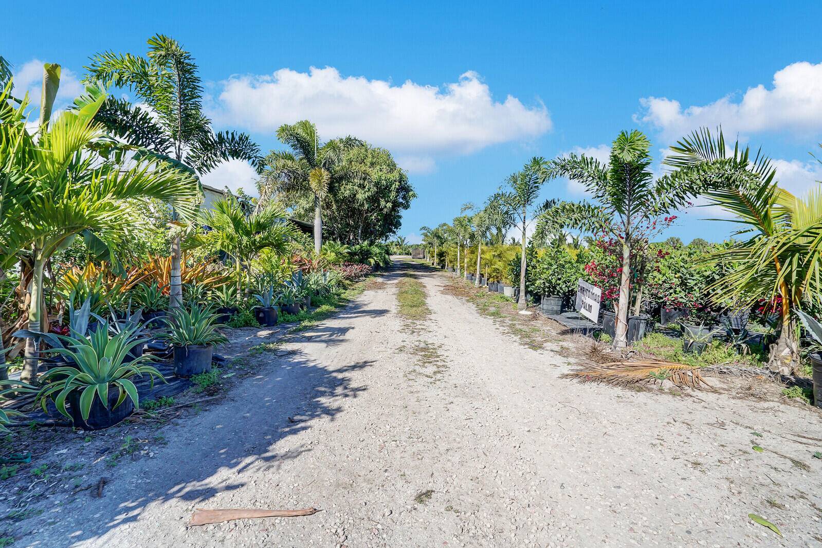 Thriving Nursery Landscaping Business with Prime Land Turnkey Opportunity.