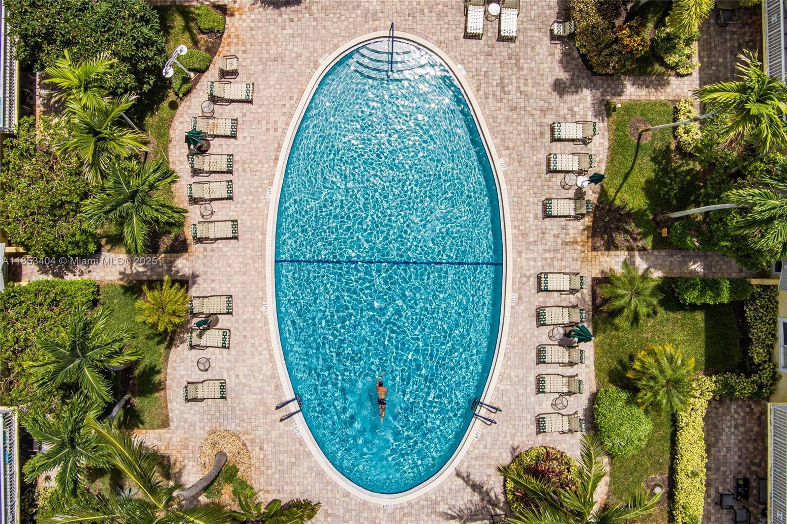 Tropical paradise in the heart of Victoria Park !