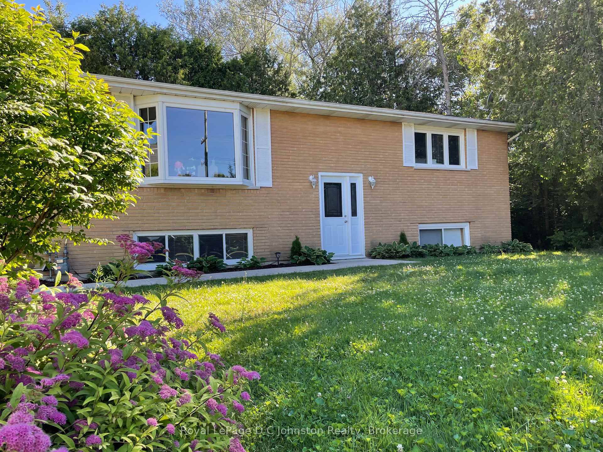 Welcome to 341 Palmerston St.