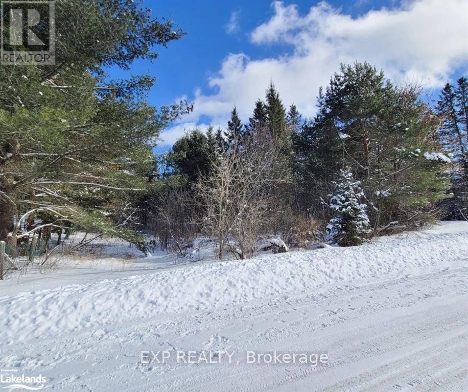 Perfectly situated in the village of South River, this 66' x 138' vacant lot offers an ideal opportunity to build your dream home.