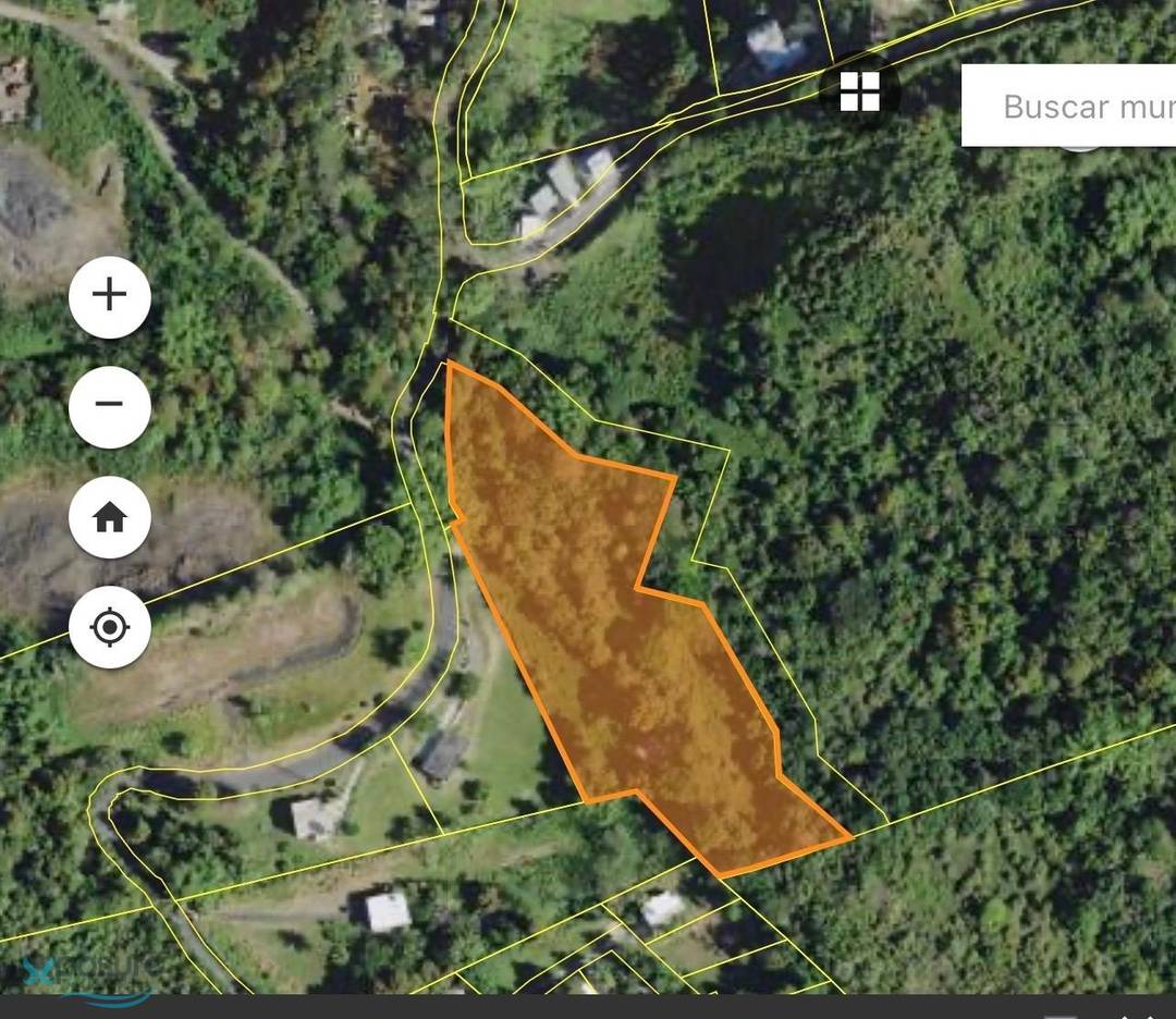 BARRIO CANOVANILLAS, CAROLINA Land Carolina