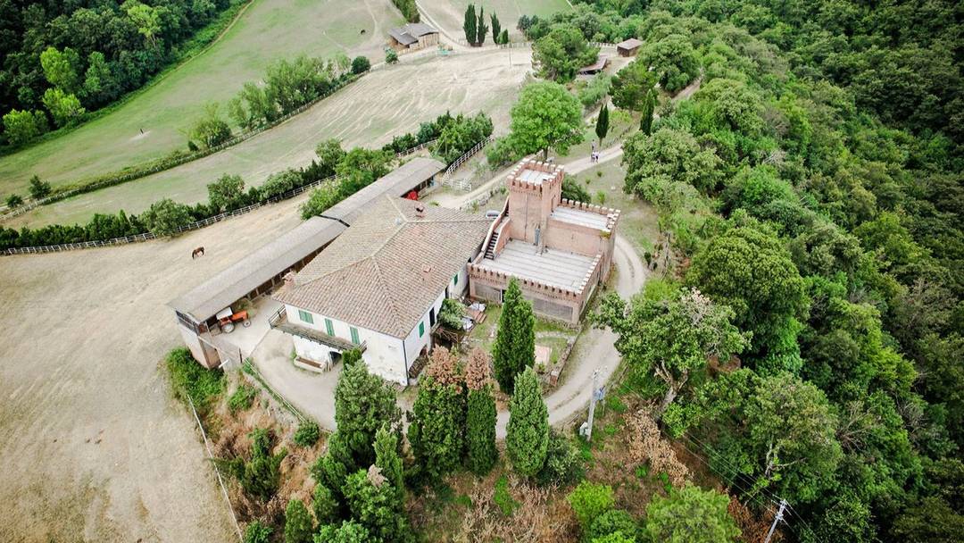 Farm with castle, hunting reserve and 105 ha of land with olive grove, arable land and woodland for sale in the province of Siena, Tuscany.