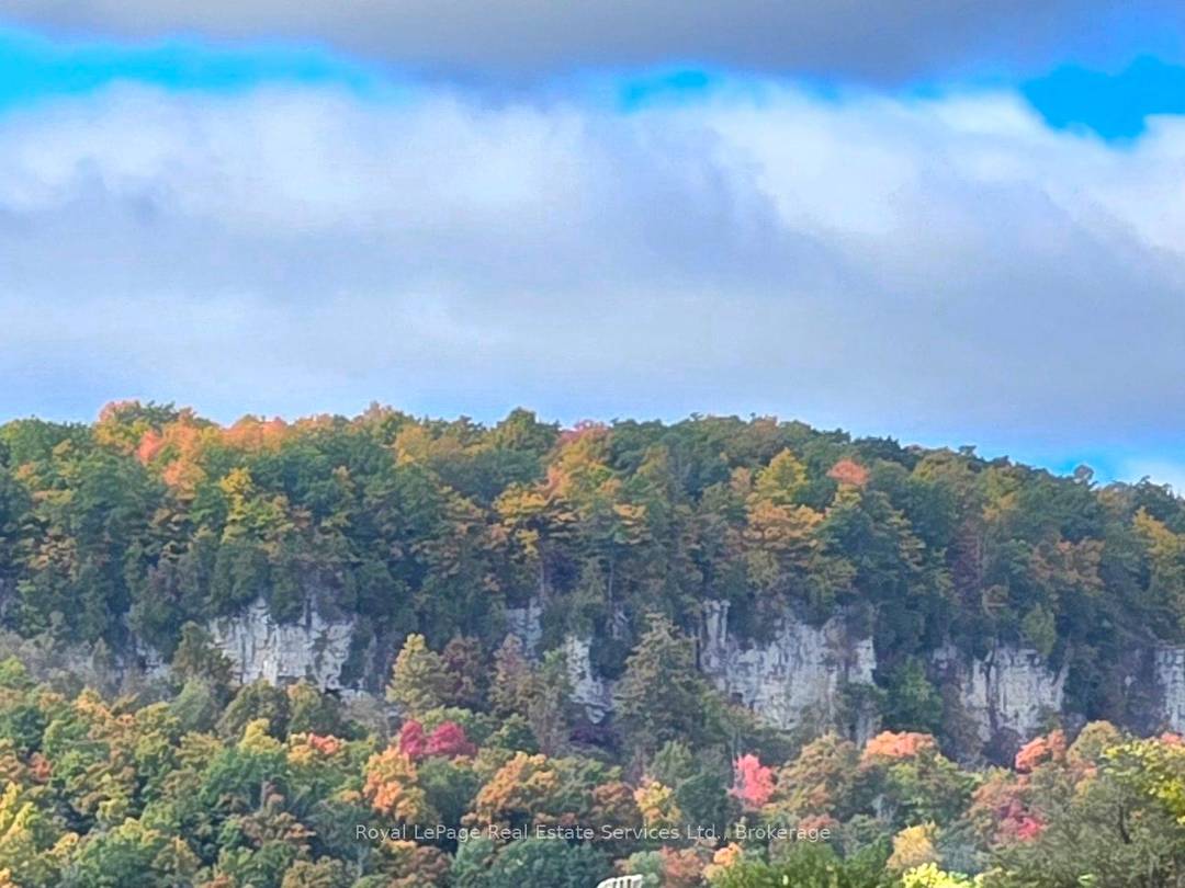 34 Acres approx, fibre optics internet now hooked up, walk to Farm Boy, walk in clinics, Shoppers Drug Mart, Longo's, Starbucks and great restaurants.