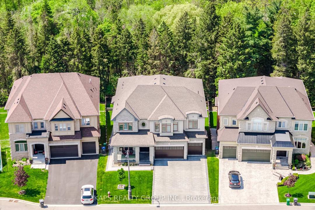 Breathtaking luxury Diblasio estate with over 8, 000 sq ft of fully upgraded finished living space and a 3 car garage !