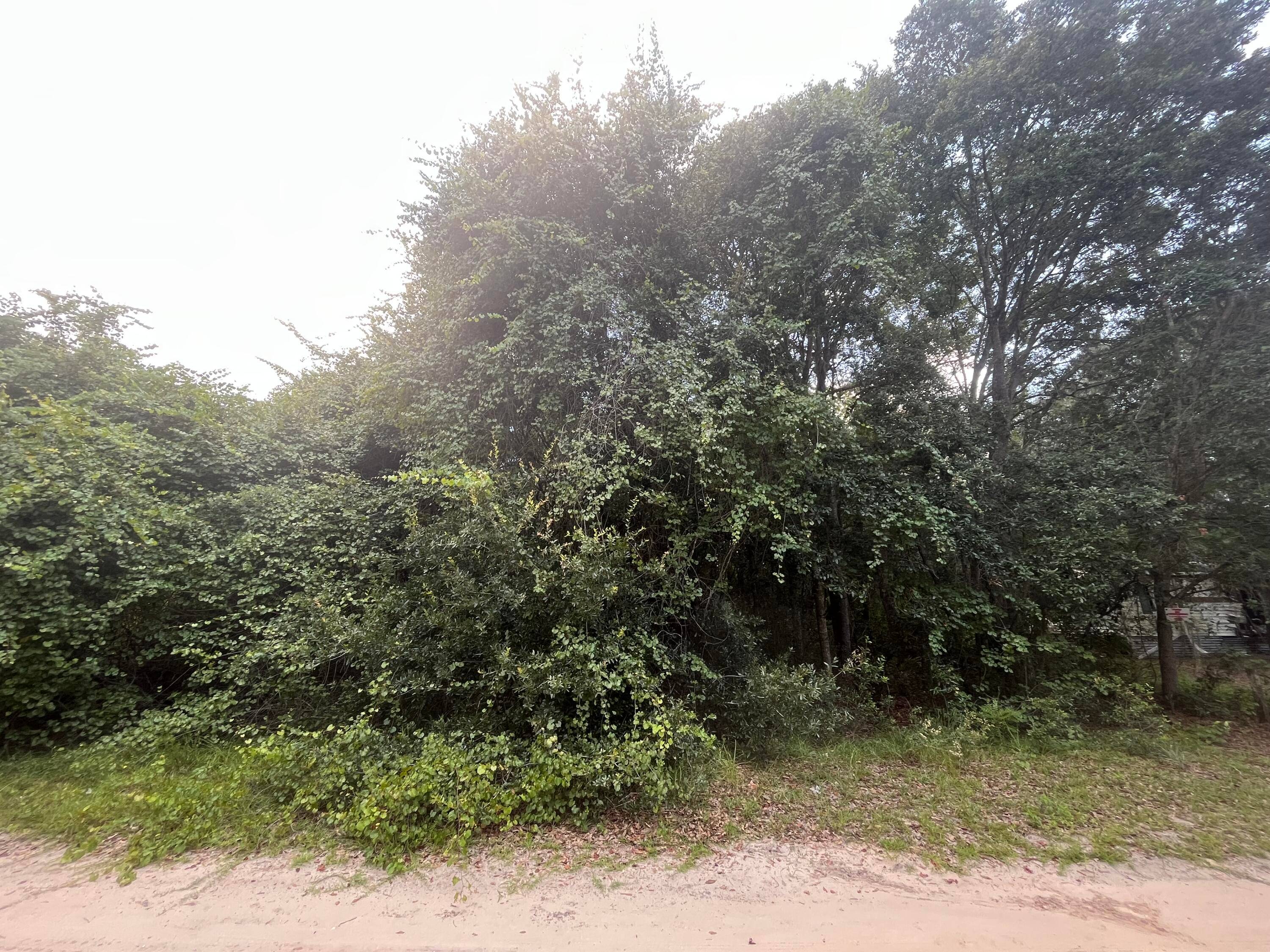 Build your Home or bring your new Mobile Home to this peaceful wooded lot.